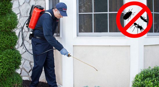 Yağcılar Tahtakurusu İlaçlama böcek ilaçlama ve haşere kontrolü — ilaclama-tr.com
